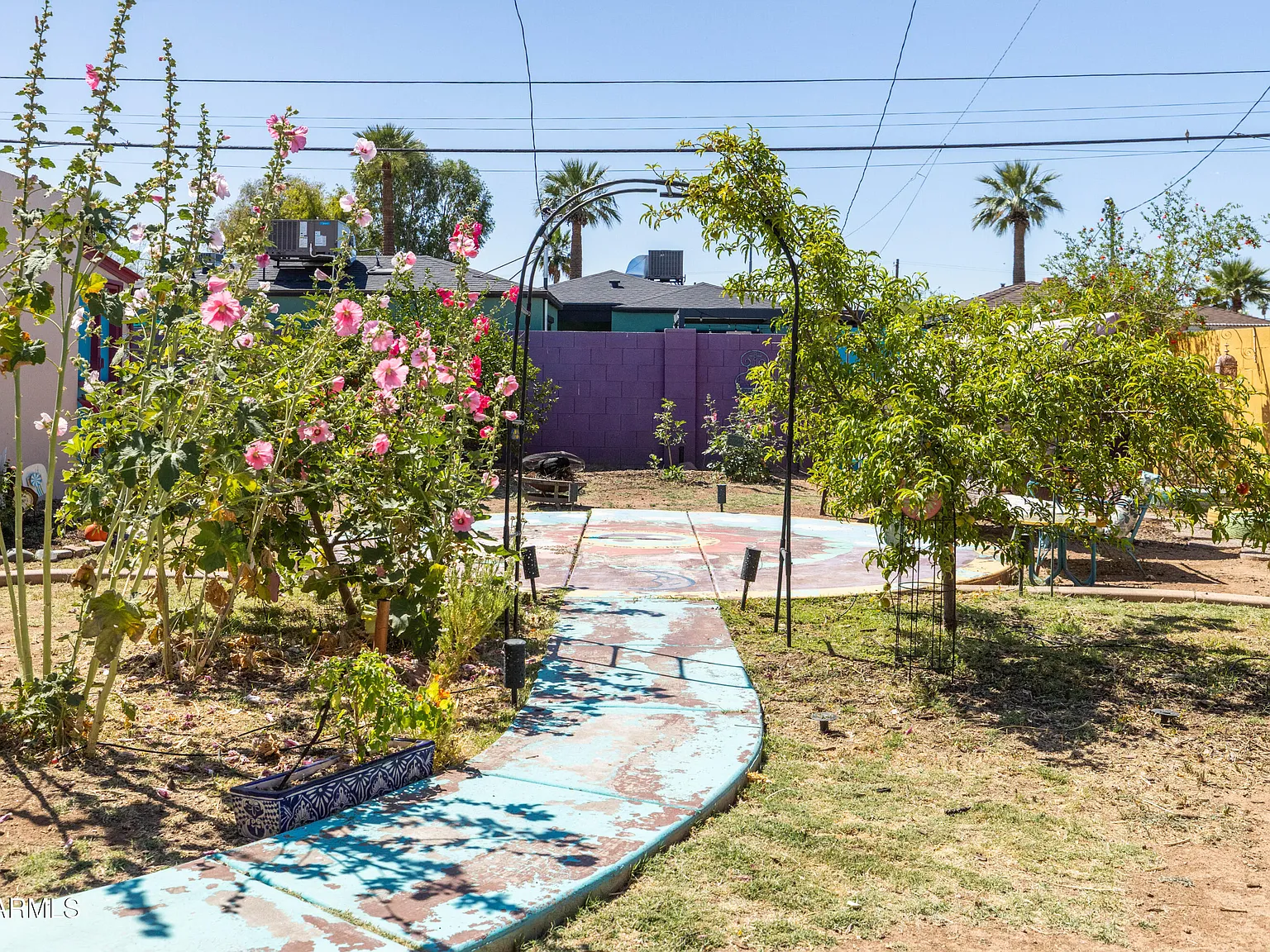 The backyard garden