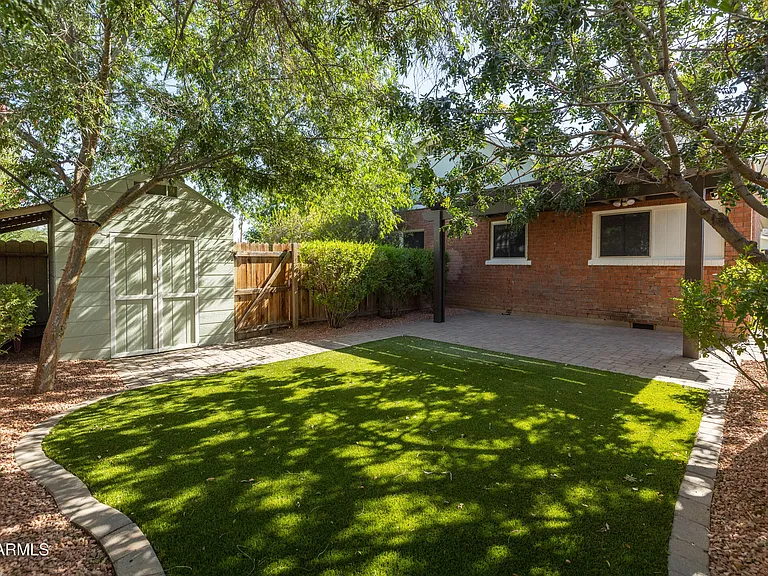 The mulberry tree and backyard